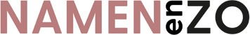 Namen enzo logo